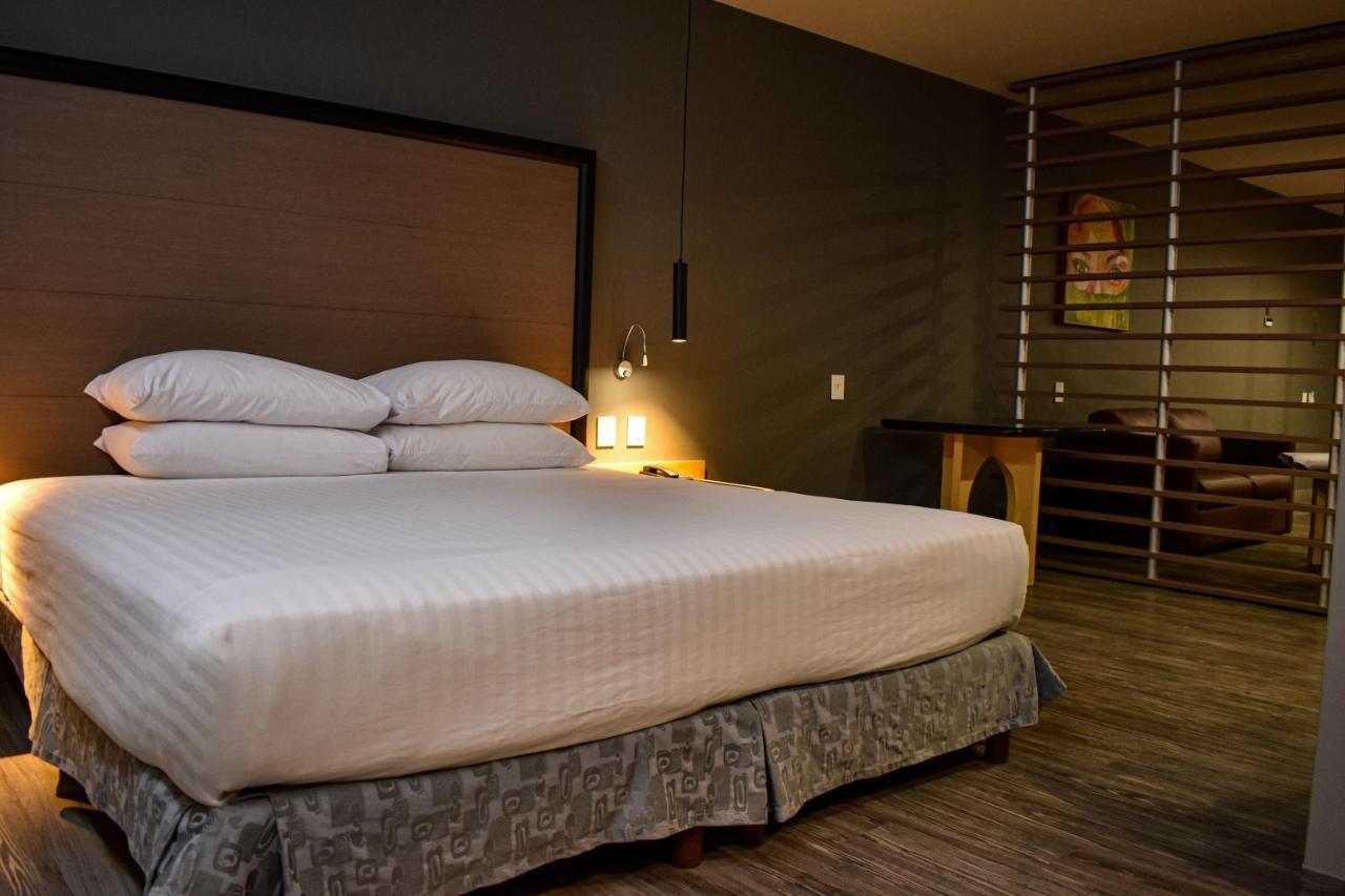 Suite Terrace - 1 cama extragrande - No fumadores